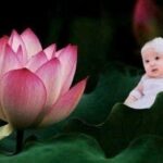 Trẻ sinh vào 5 ngày âm lịch: Con trai là Thần Tài, con gái là Đại gia, cha mẹ nở mày nở