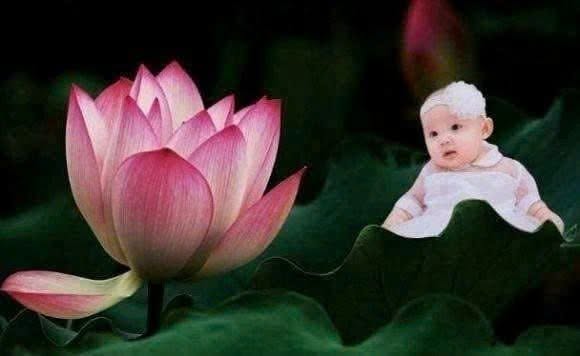 Trẻ sinh vào 5 ngày âm lịch: Con trai là Thần Tài, con gái là Đại gia, cha mẹ nở mày nở