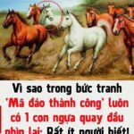 Vì sao trong bức tranh ‘Mã đáo thành công’ luôn có 1 con ngựa quay đầu nhìn lại