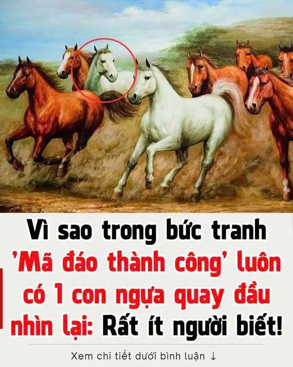 Vì sao trong bức tranh ‘Mã đáo thành công’ luôn có 1 con ngựa quay đầu nhìn lại